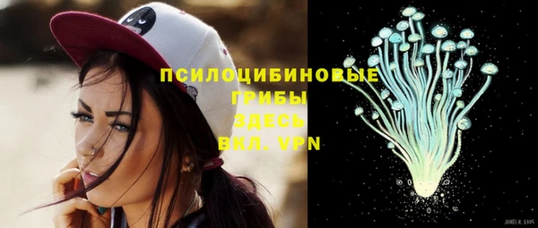 мдма Медногорск