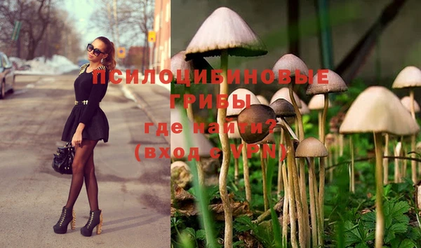 дмт Мегион