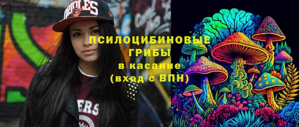 дмт Мегион