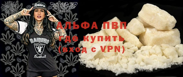 дмт Мегион