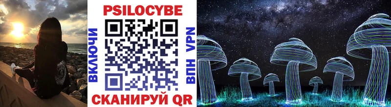 дарк нет какой сайт  Тайшет  Галлюциногенные грибы Psilocybine cubensis  блэк спрут как зайти 