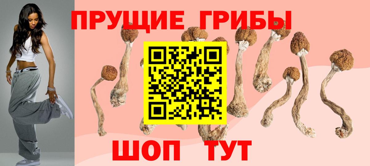 Псилоцибиновые грибы Psilocybe  Вход с VPN  Тайшет 